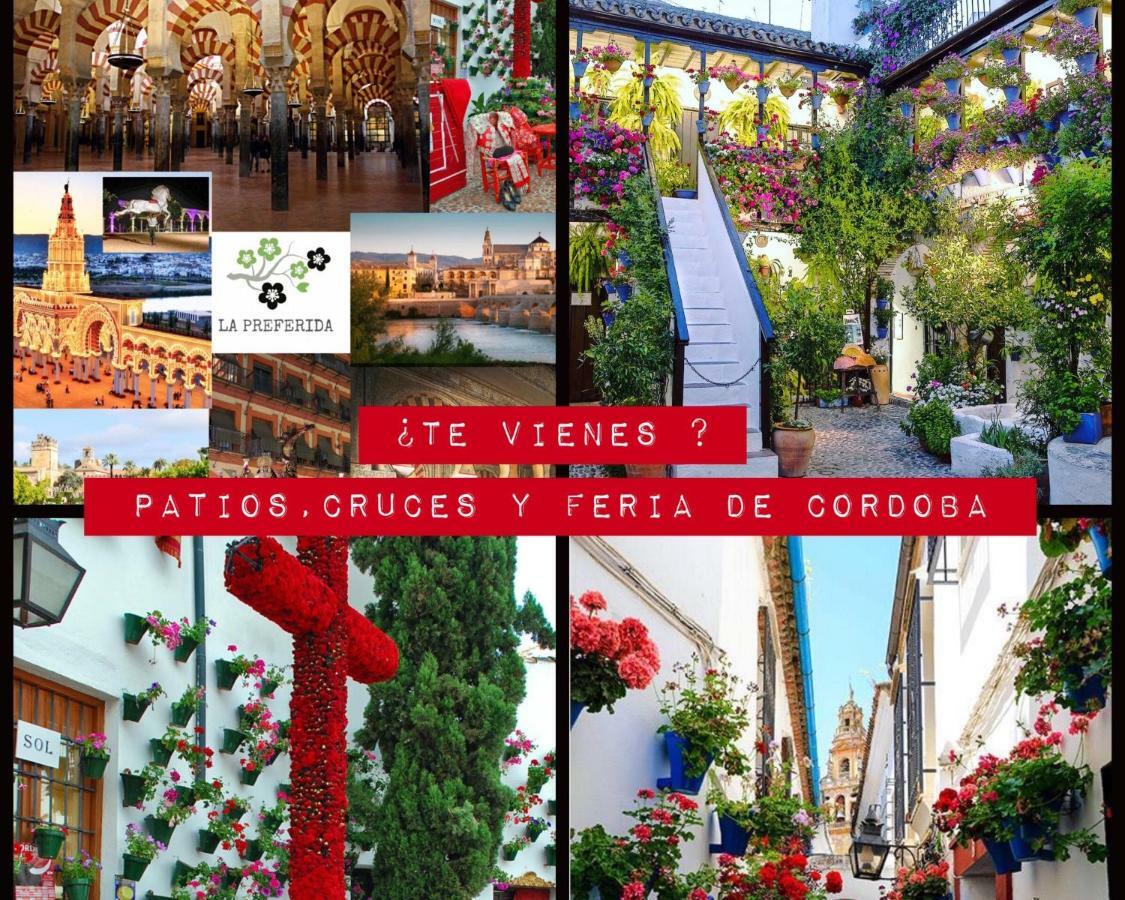 Centro Historico Mezquita Juderia La Preferida Apartment Córdoba Exterior foto